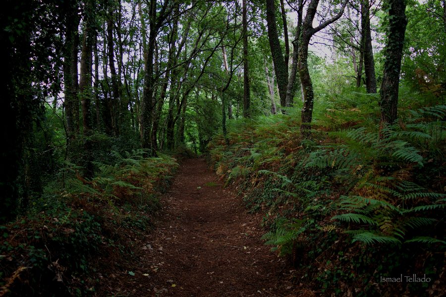 La rivière Tea à Ponteareas dans la province de Pontevedra