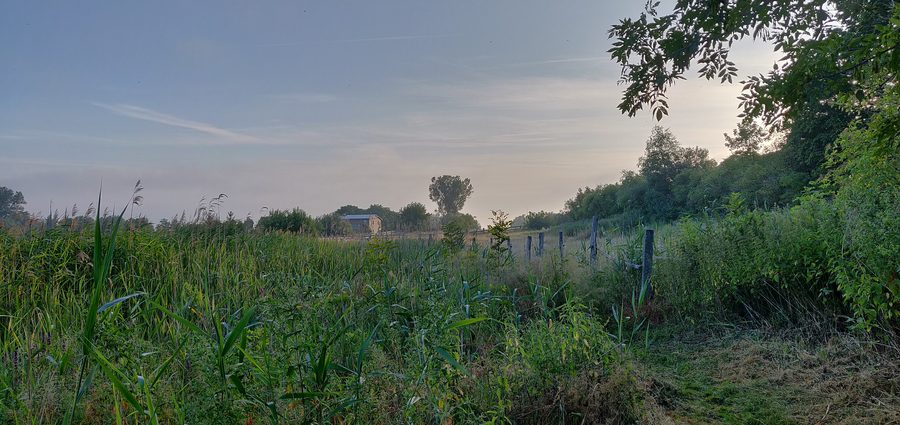 Neetzka au matin avec vue sur une maison