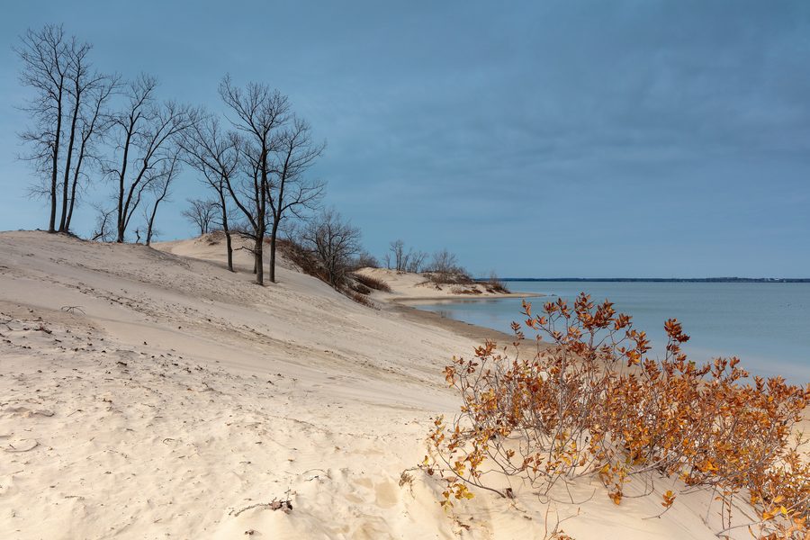 Vue de Sandbanks en automne, montrant les dunes et la végétation avant les chutes de neige.