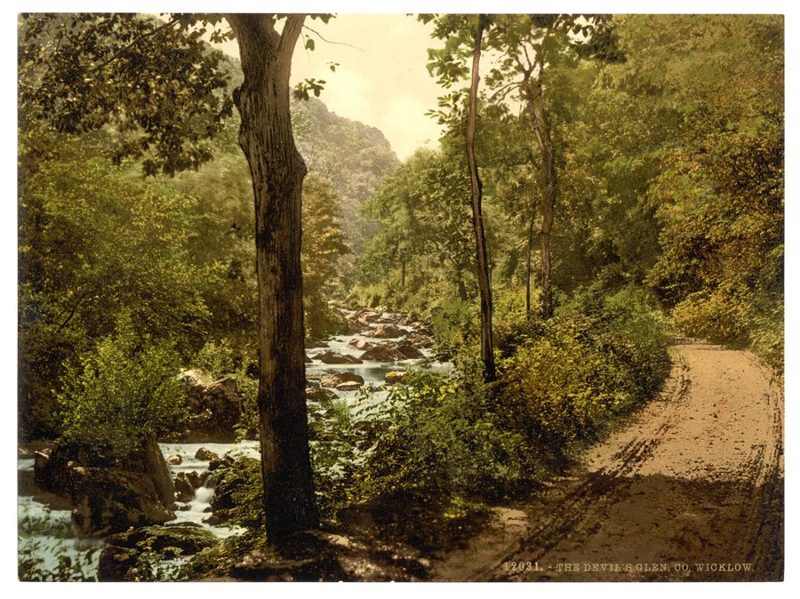 The Devil's Glen dans le comté de Wicklow, Irlande