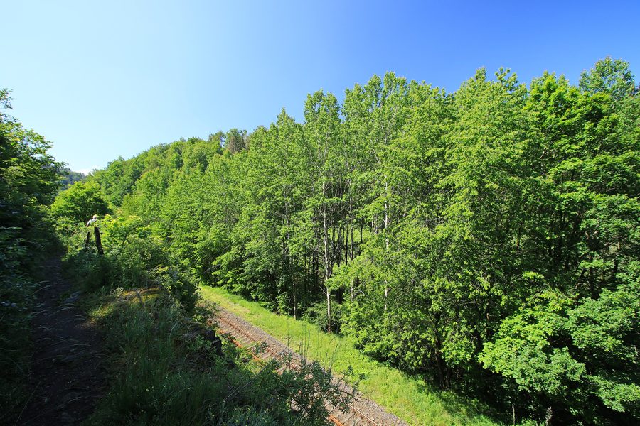 Réserve paysagère du barrage de Pöhl avec des rives boisées et un horizon de basse moyenne montagne