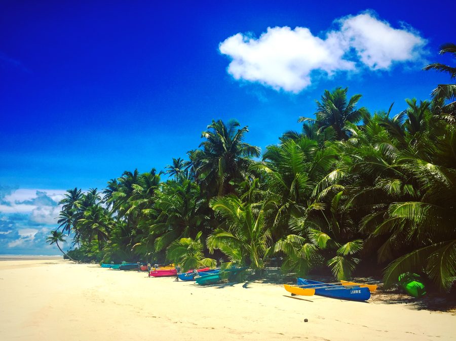Paysage côtier tropical des îles Cocos