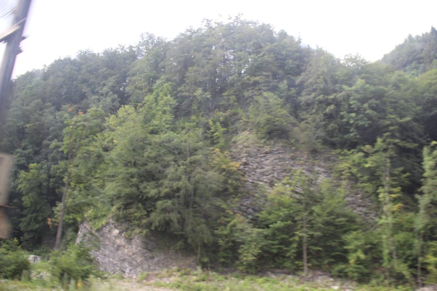 Vue sur des pentes de montagne boisées dans les Carpates roumaines.