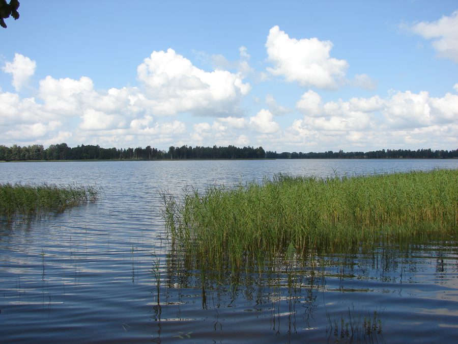 Vue sur le lac de Pušas dans la commune de Puša, Lettonie