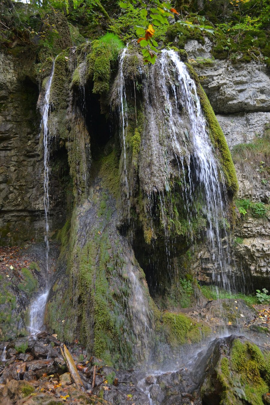 Felsige Landschaft in der Wutachschlucht im Südschwarzwald