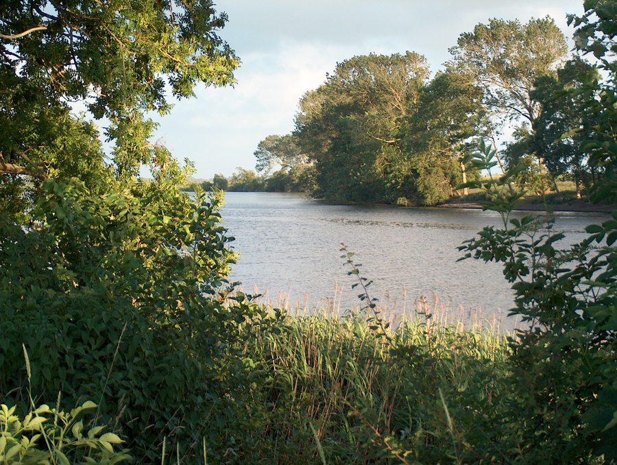Eider près de Süderstapel avec paysage de rive