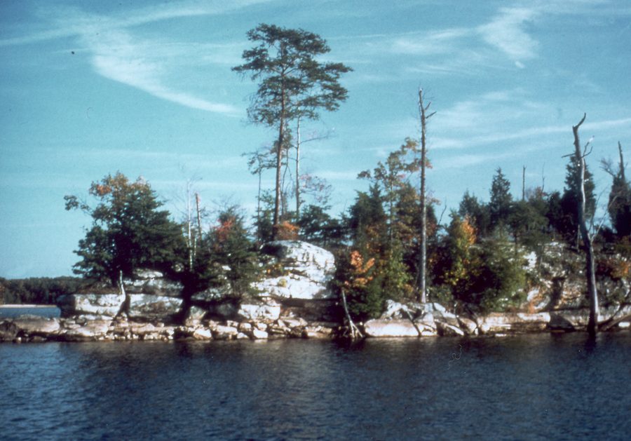 Lac Laurel River dans le Kentucky avec paysage de rive boisé