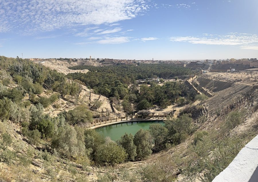Paysage d’oasis près de Tozeur