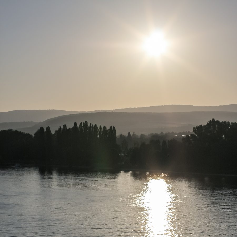 Le Rhin, le Rheingau et le Taunus à Schierstein à contre-jour