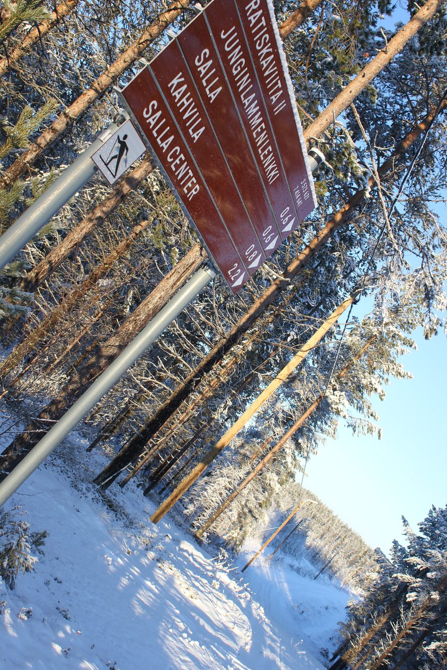 Un skieur à Salla pendant l’hiver