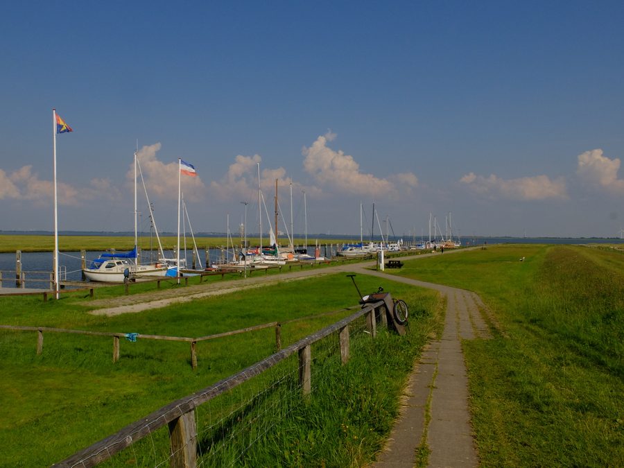 Paysage à Nordstrand dans le Schleswig-Holstein