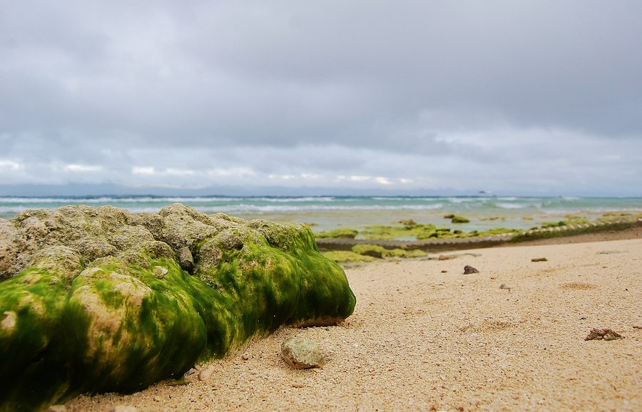 Plage de Basdaku avec plage de sable à Moalboal sur Cebu