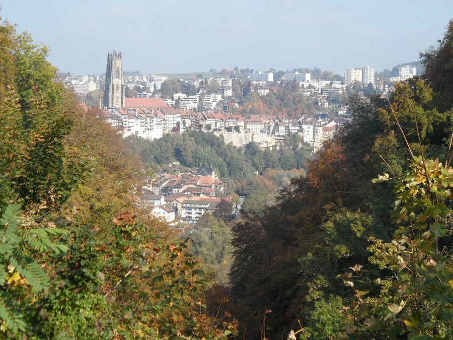 Fribourg depuis le plateau de Pérolles