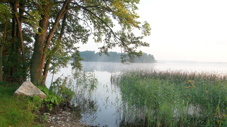 Paysage de rive du lac Łaśmiady en Pologne