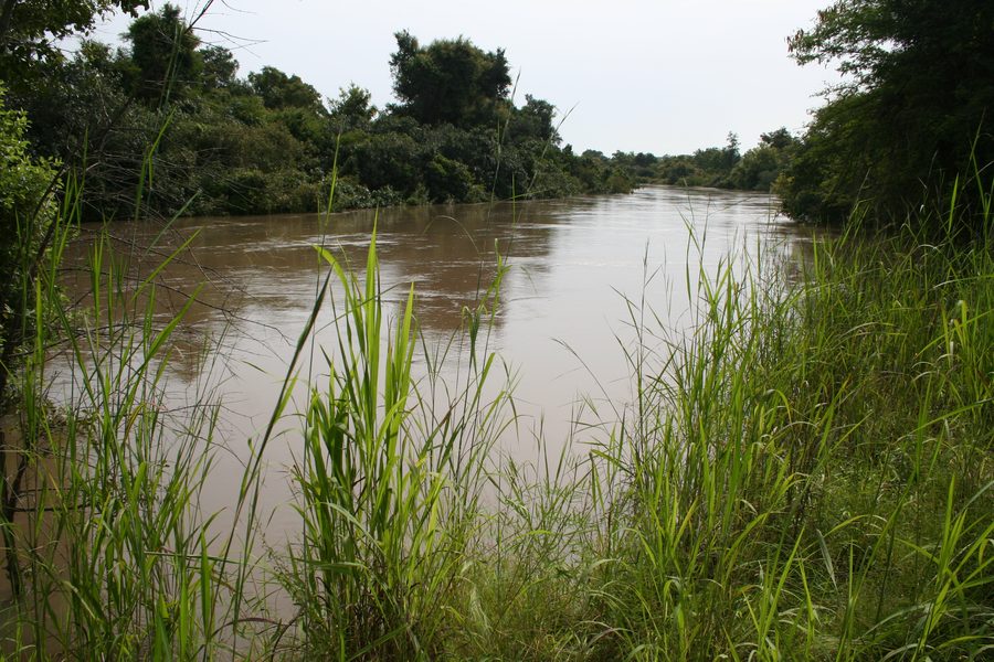 Paysage fluvial dans le parc national de la W