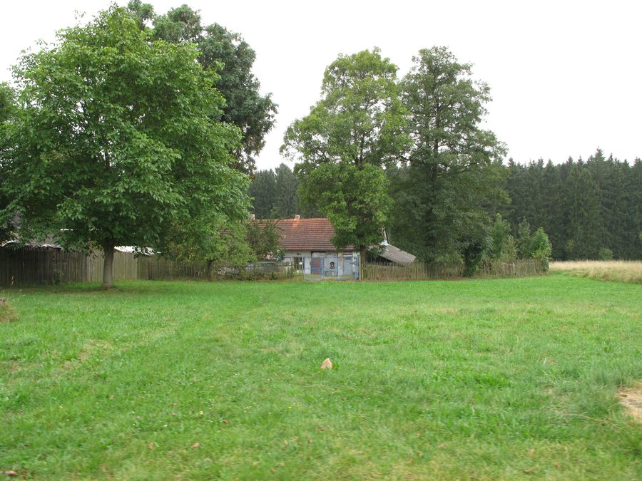 Maison et arbres à Jelenov près de Čáslavsko