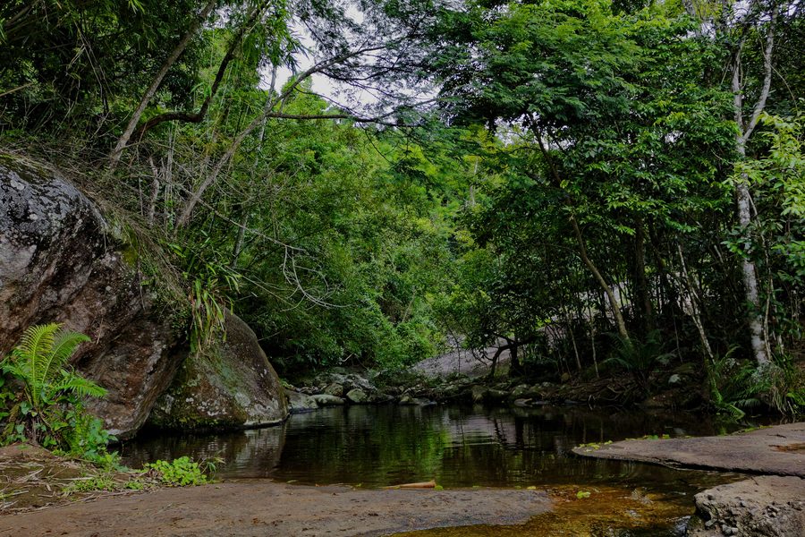 Bassin naturel entouré d’arbres au milieu du sentier de l’Água Branca, Ilhabela