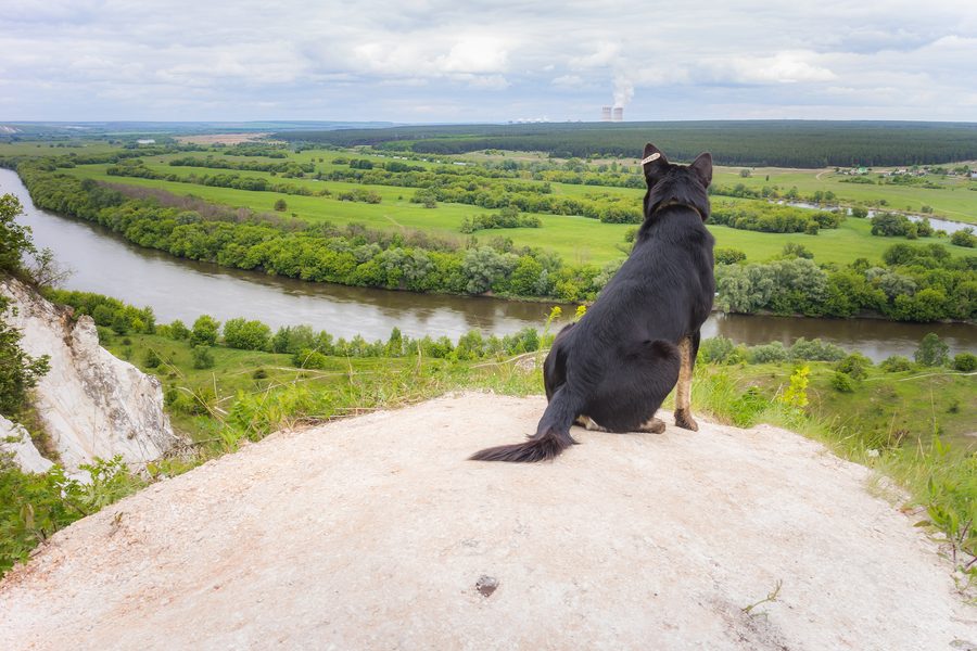 Vue sur le Don depuis une plateforme d'observation dans l'oblast de Voronej