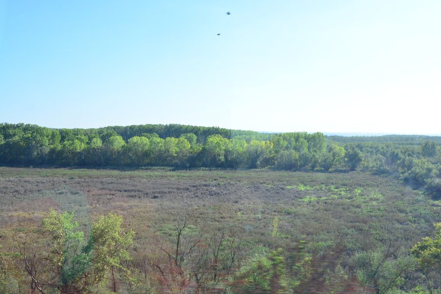 Vaste paysage dans le corridor du Danube avec vue sur le département de Călărași