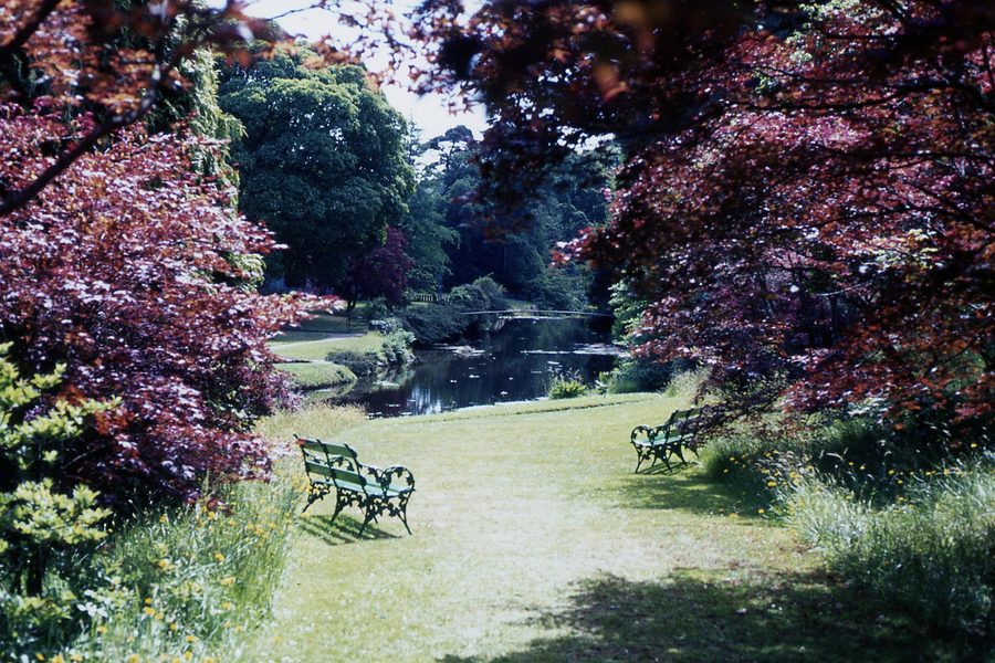 Paysage de jardin à Mount Usher Gardens dans le comté de Wicklow