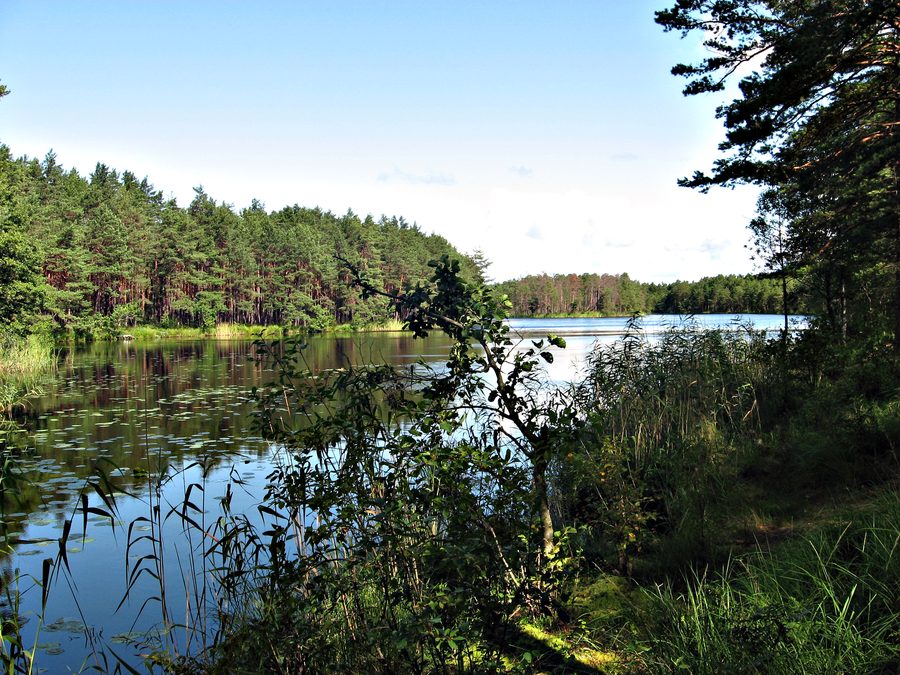 Lac Ziemeļu Garezers à Lilaste, Lettonie
