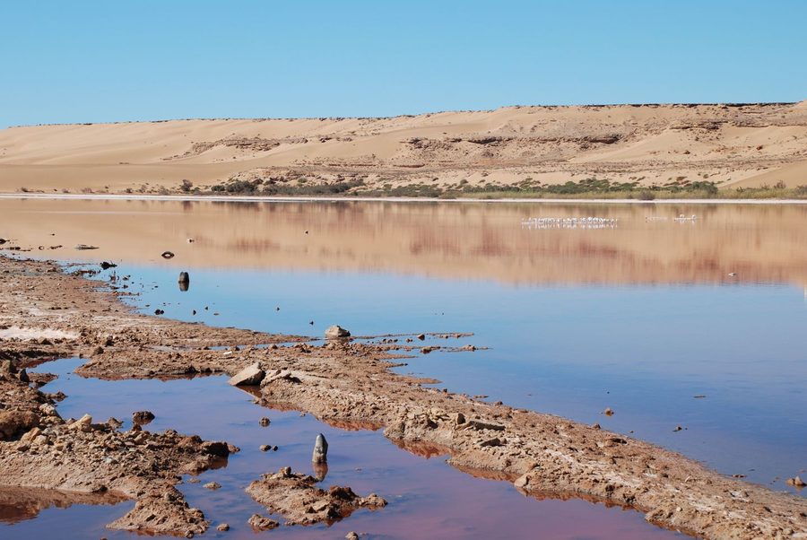 Oued sec Saguia el-Hamra près d’El Aaiún