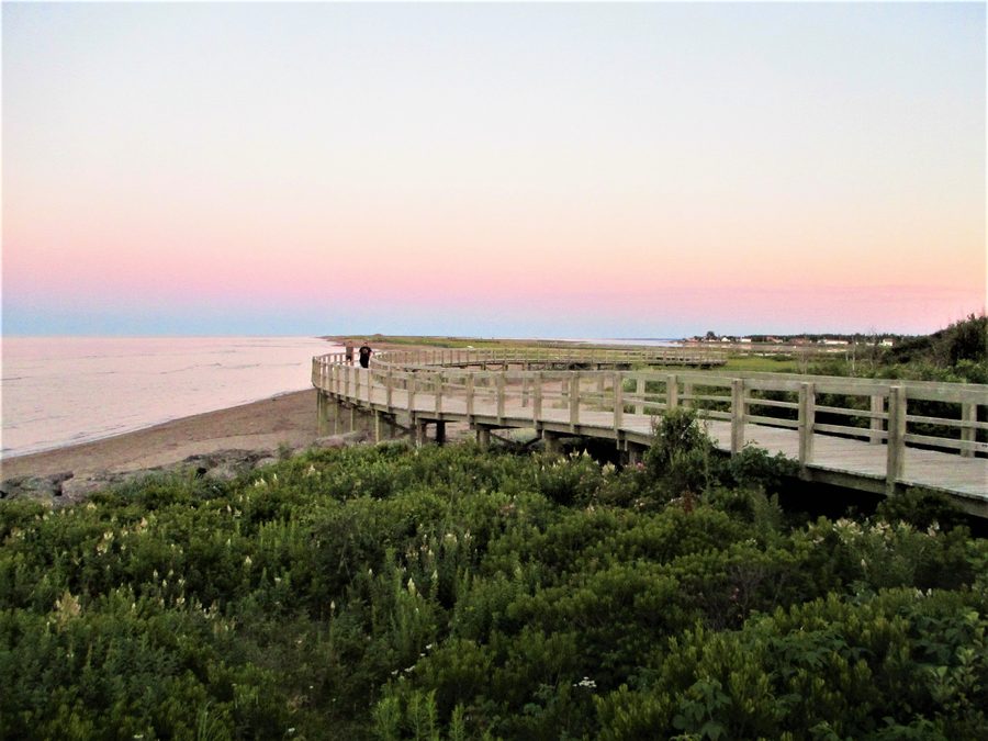 Passerelle traversant les dunes de sable à l’Irving Eco-Centre La Dune de Bouctouche, au Nouveau-Brunswick