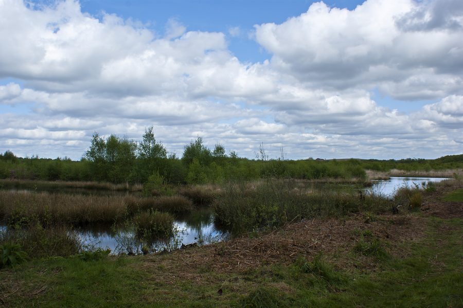 Le marais depuis l’observatoire de la réserve naturelle de Risley Moss
