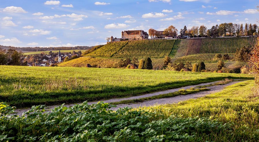 Untergruppenbach avec le château de Stettenfels dans le paysage environnant