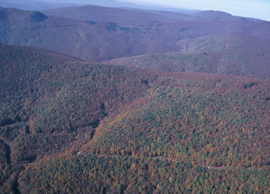 Vue aérienne du parc naturel de Papuk en Croatie