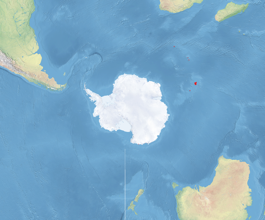 Carte de l’éco-région de toundra des îles du sud de l’océan Indien dans une projection depuis le pôle Sud.