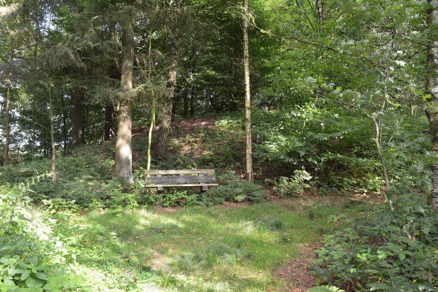 Tumulus funéraire sur la Bundesstraße 431 à Nindorf