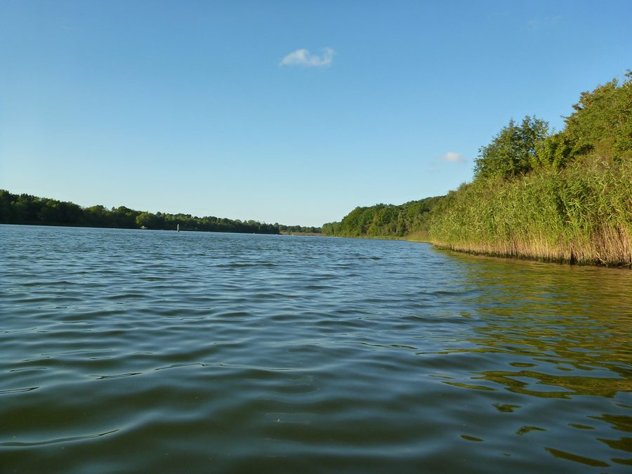 Vue depuis la rive est du Flemhuder See vers le nord en direction du Nord-Ostsee-Kanal