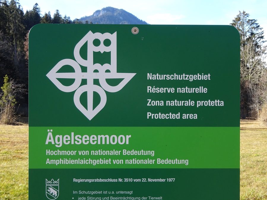 Tourbière d’Ägelsee à Diemtigen dans le canton de Berne