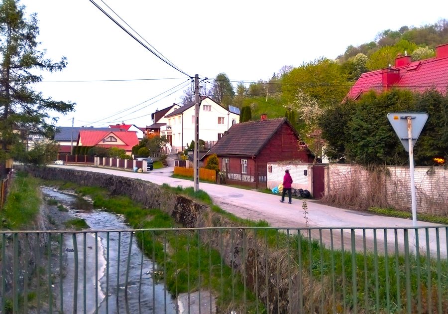 Le ruisseau Słomka à Mszana Dolna dans les Beskides occidentales