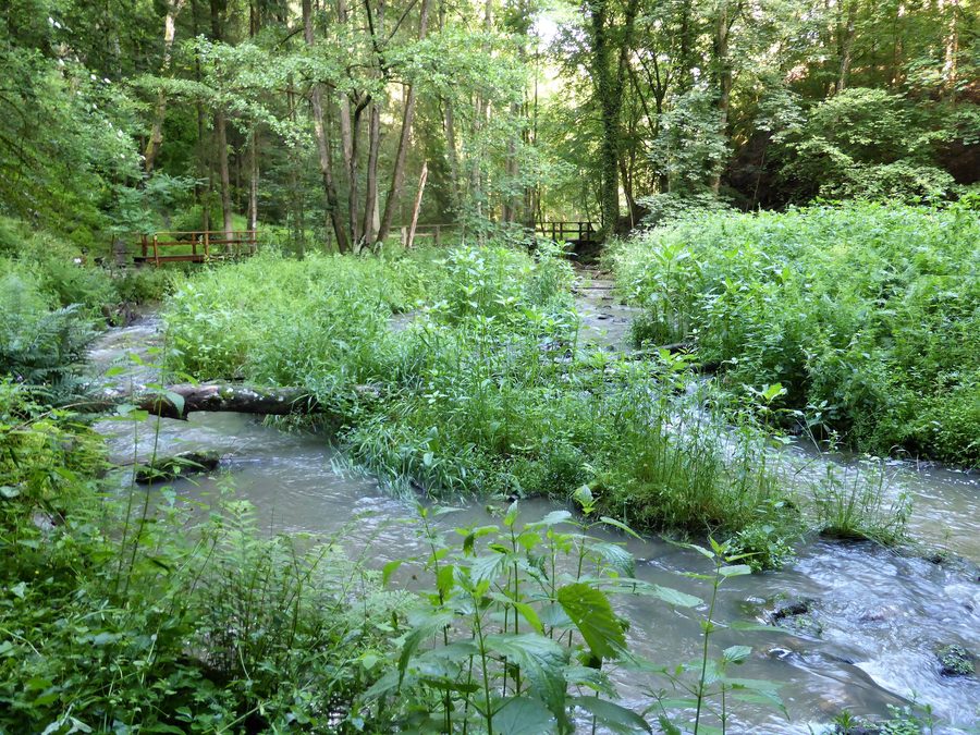 La Menach coule dans la vallée du Perlbach au pied de l’ensemble castral de Mitterfels
