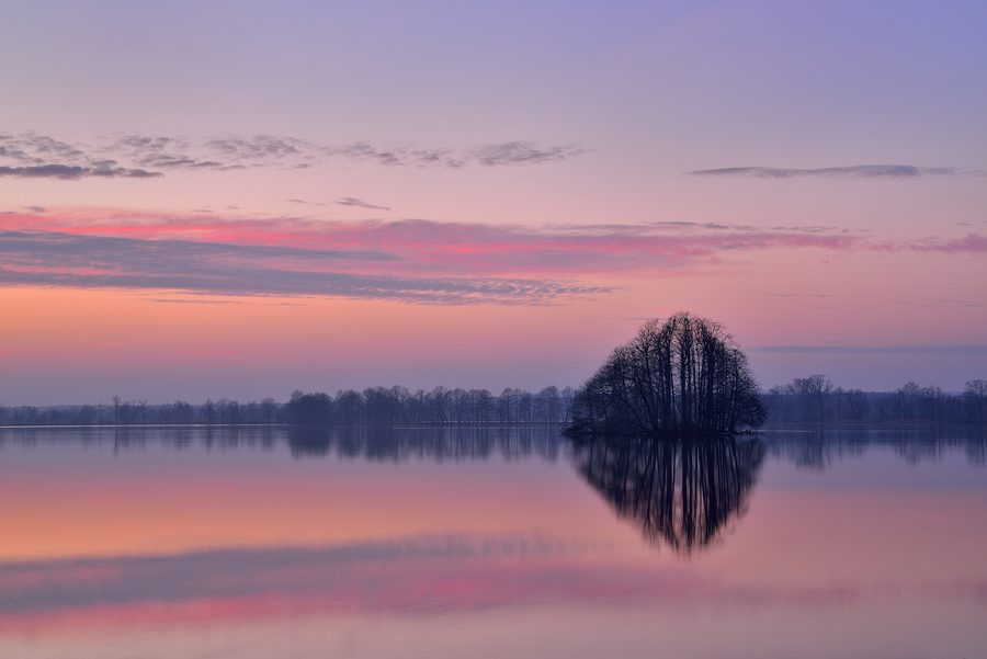 Zone humide avec plans d’eau et végétation des rives dans le parc paysager de la vallée de la Barycz