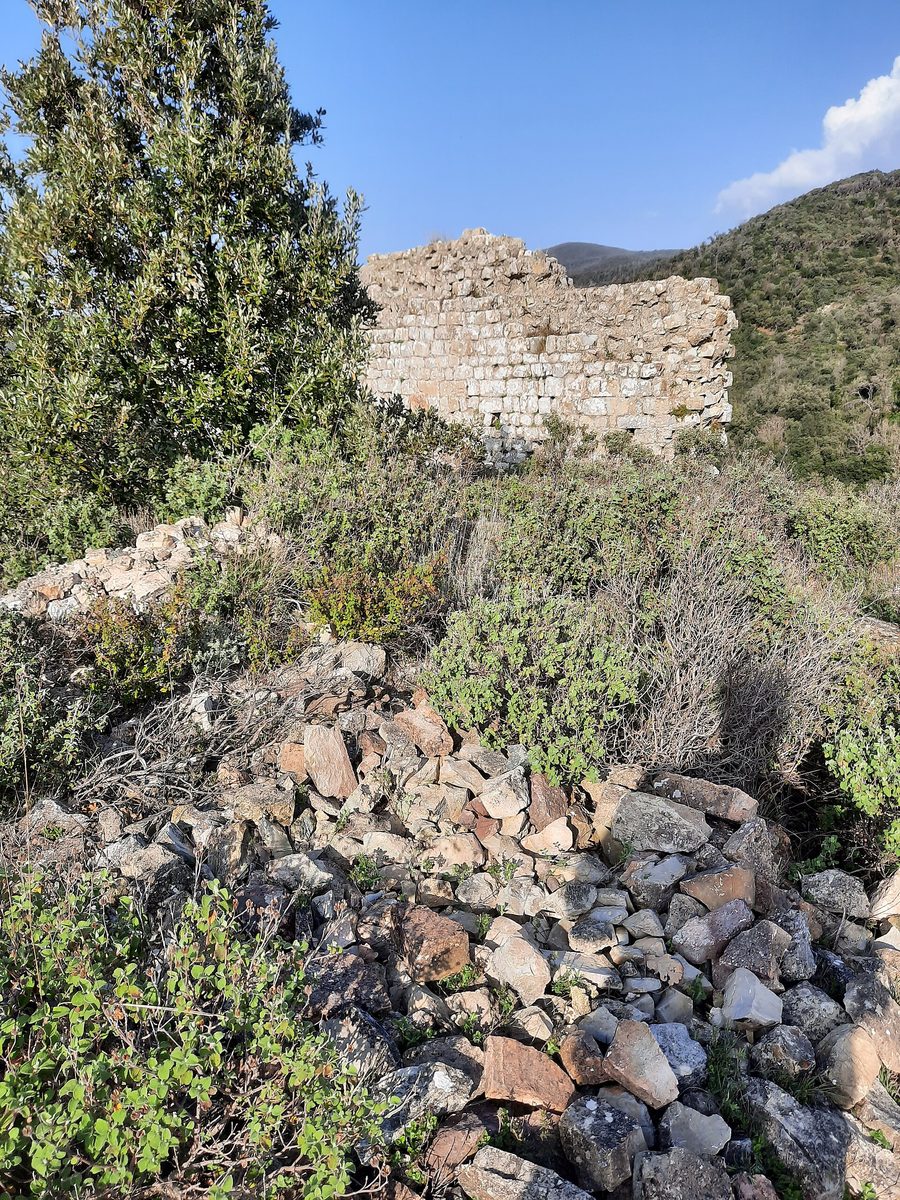 Ruines du Castello di Dolia, également appelé Castellaccio, à Terriccio