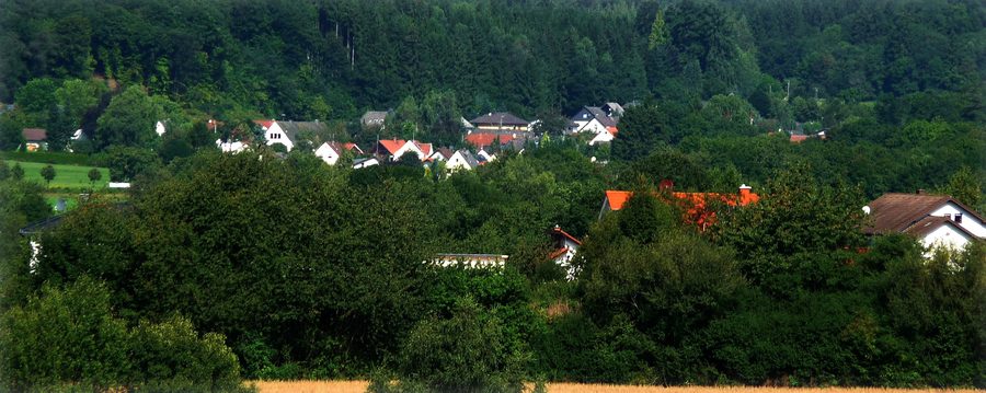 Vue partielle d’Achtelsbach