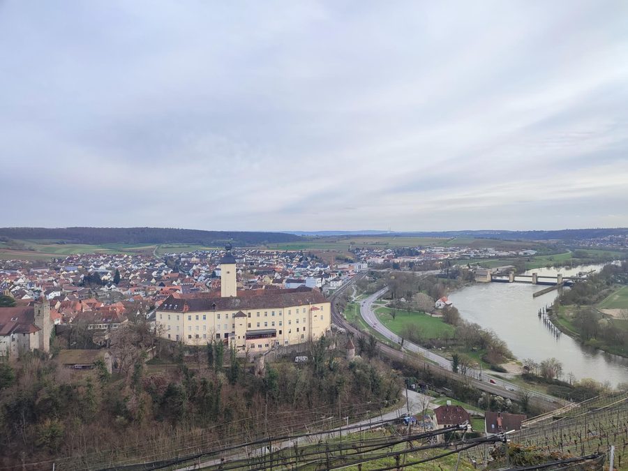 Vue depuis le Michaelsberg sur le château Horneck, Gundelsheim et le Neckar