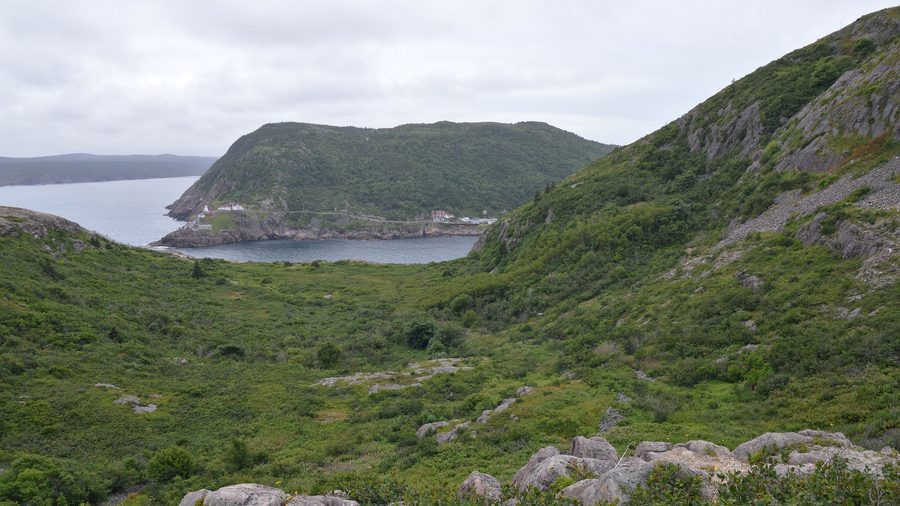 Vue sur St. John's depuis Signal Hill