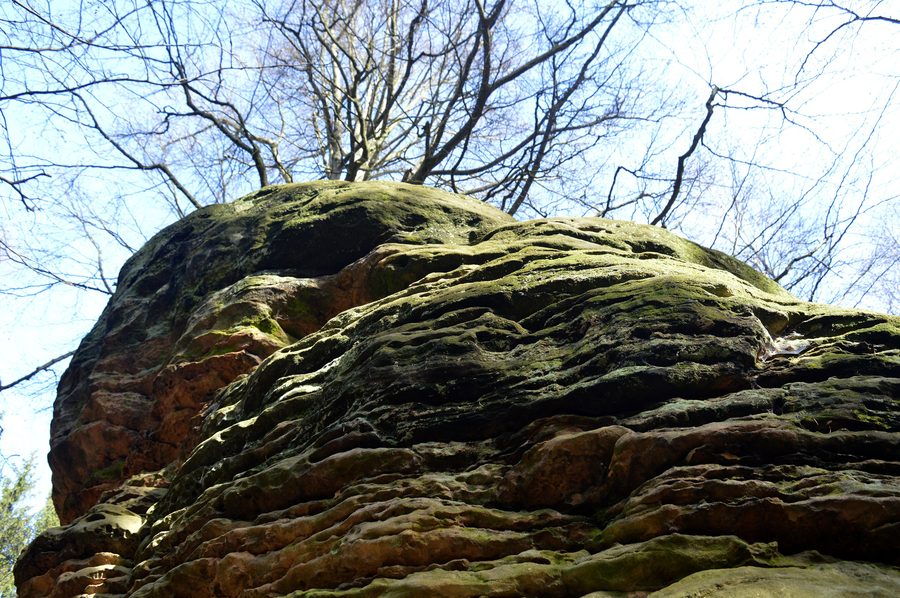 Formations rocheuses aux Bodensteiner Klippen dans la zone de protection du paysage Bodensteiner Klippen et Klein Rhüdener Holz
