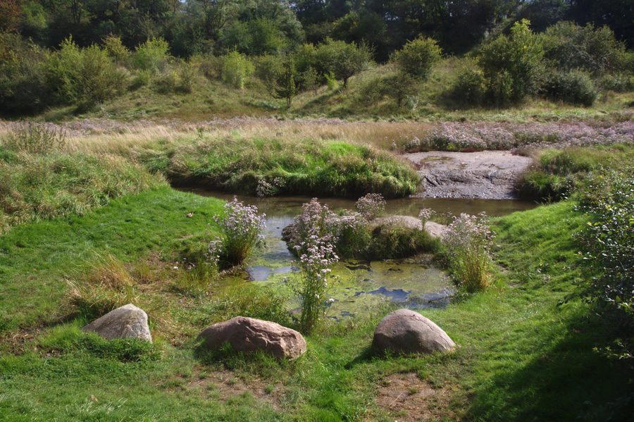 Source salée à Sülldorf dans le Sülzetal