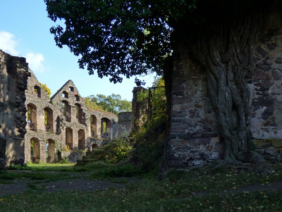 Ruines du château de Świny près de Bolków