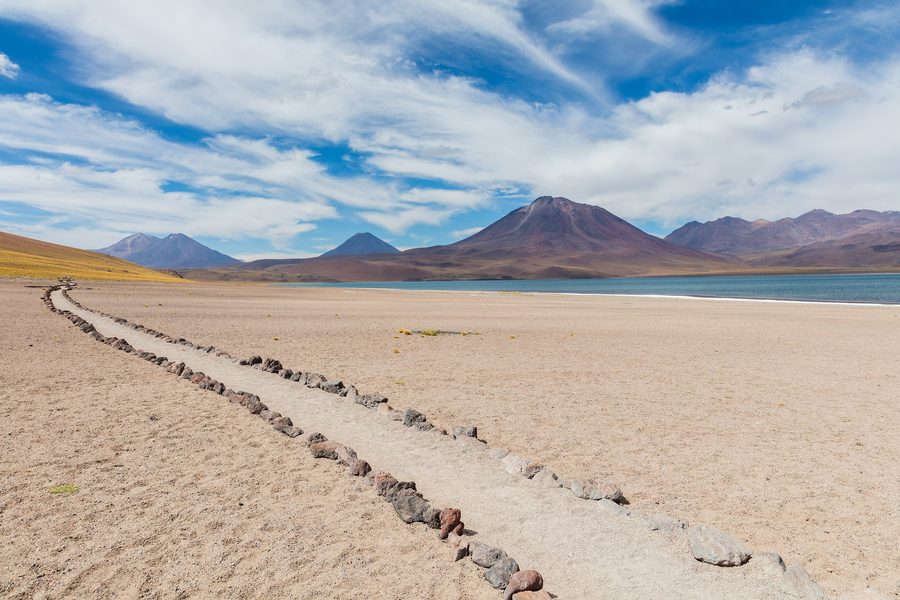 Laguna Miscanti sur l’Altiplano, dans le nord du Chili, avec une lagune d’altitude et un paysage volcanique.