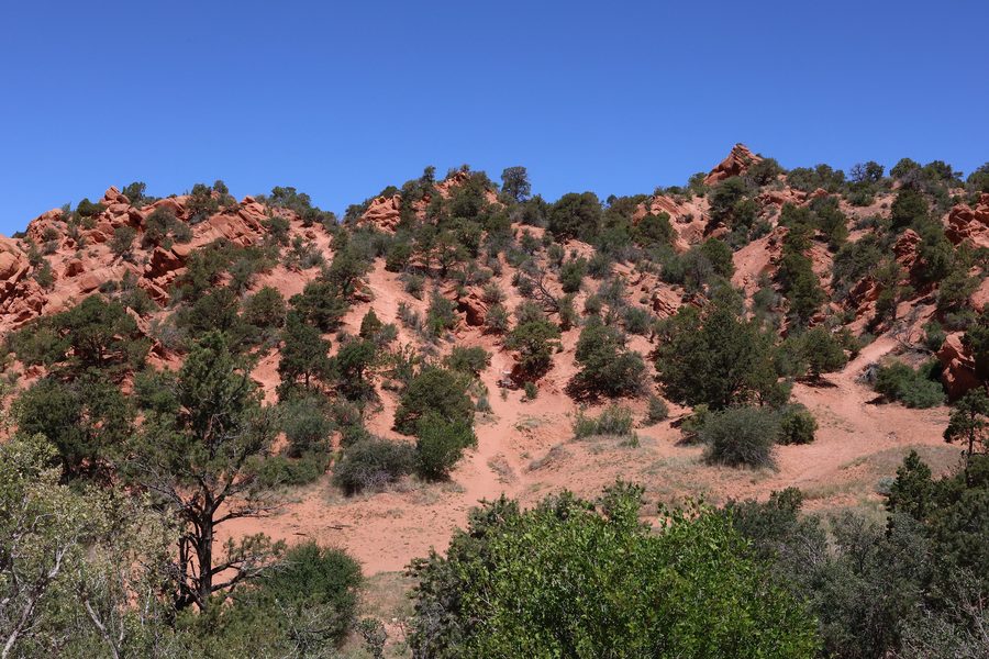 Formations rocheuses rouges accidentées avec des arbres verts dans l’Utah