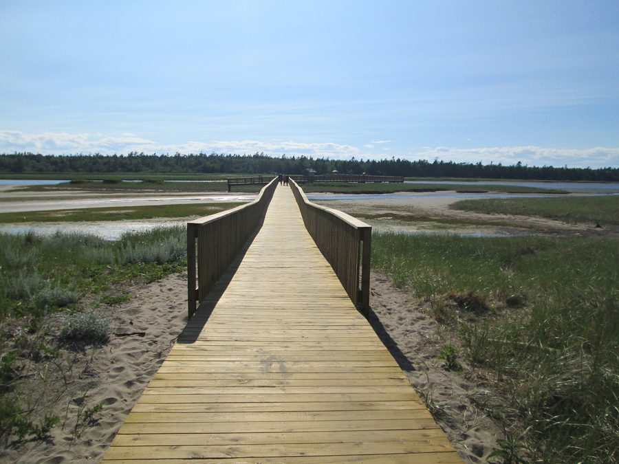 Passerelle dans le parc national de Kouchibouguac au Nouveau-Brunswick