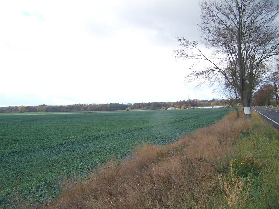 Vue depuis l’est sur la crête près de Seelow dans l’Oderbruch