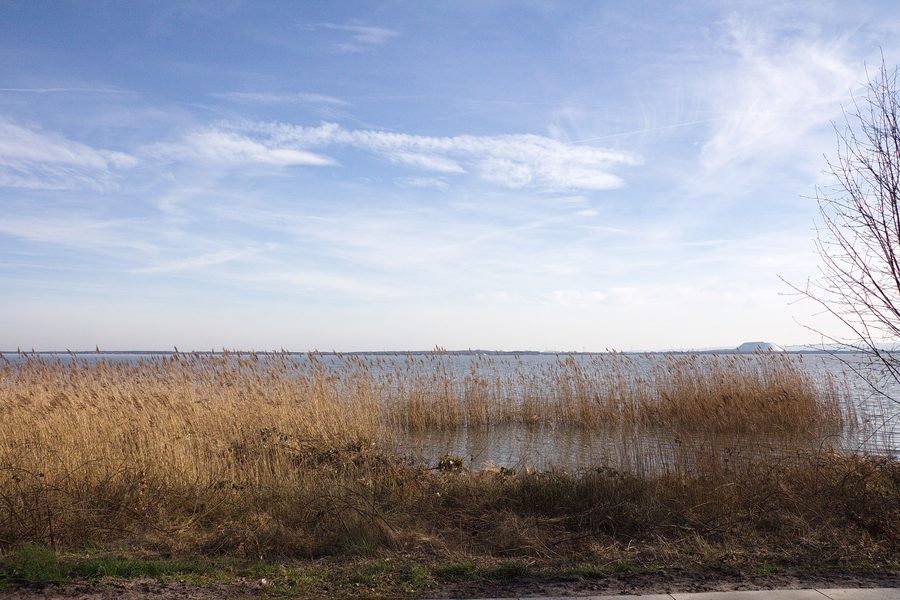 Zone protégée du paysage Steinhuder Meer près de Mardorf en Basse-Saxe