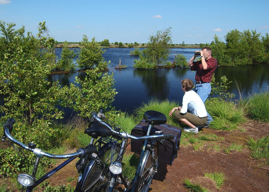 Vue sur le Bourtanger Moor-Bargerveen